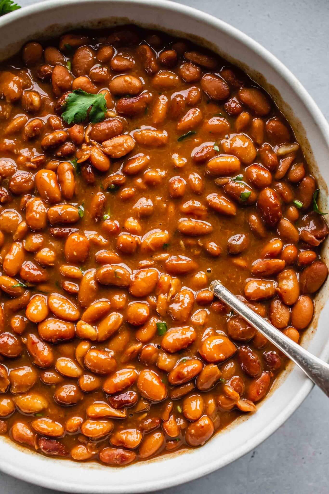 My FAVORITE Instant Pot Pinto Beans No Soak 